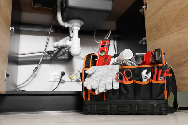 Best Plumbing Services Near Me  in Palmer Lake, CO