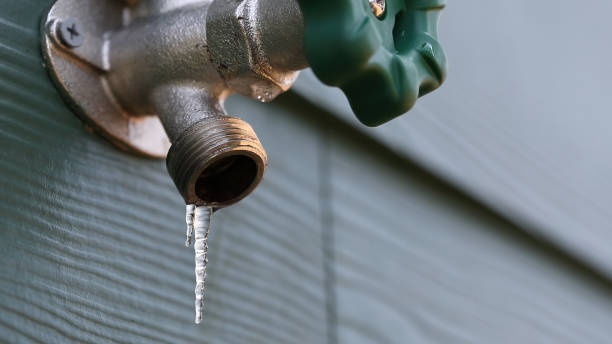 Best Local Plumber Services  in Palmer Lake, CO
